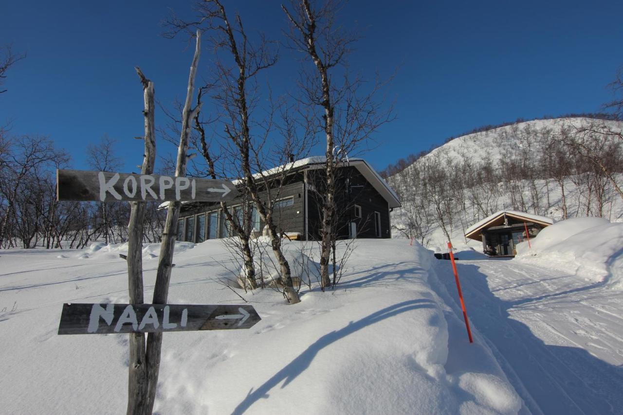 Korppi Moekki Kilpisjärvi
